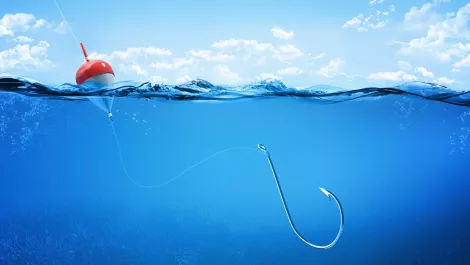 Pacific Fibre's sunken treasure