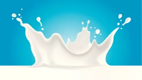 Update: Synlait lifts milk forecast while Fonterra reaffirms its one, trims dividend
