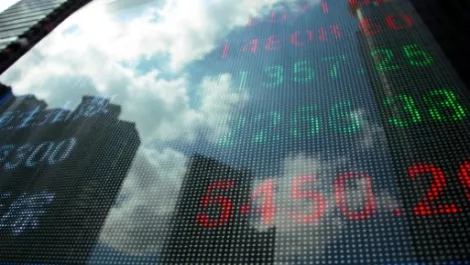 Update: Synlait shares fall 12% on first-half loss; lower guidance