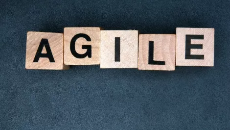 Agility critical for campaign success, says expert