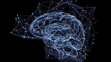 To work like a disrupter, change the way you work with data and analytics