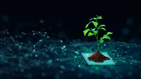SAS recognised by leading bodies for promoting sustainable business practice
