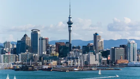 Green Light appoints new NZ Business Development Manager